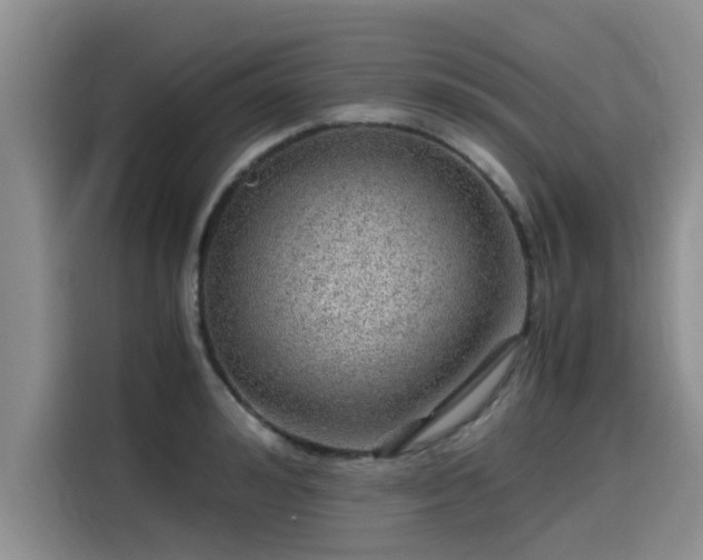 X0000115640992200911171418