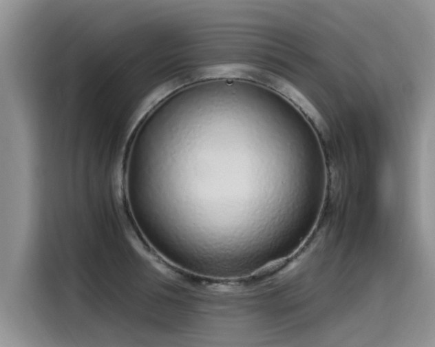 X0000115640994200911171418