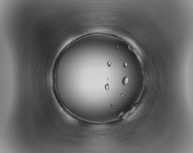 X0000115640999200911171418