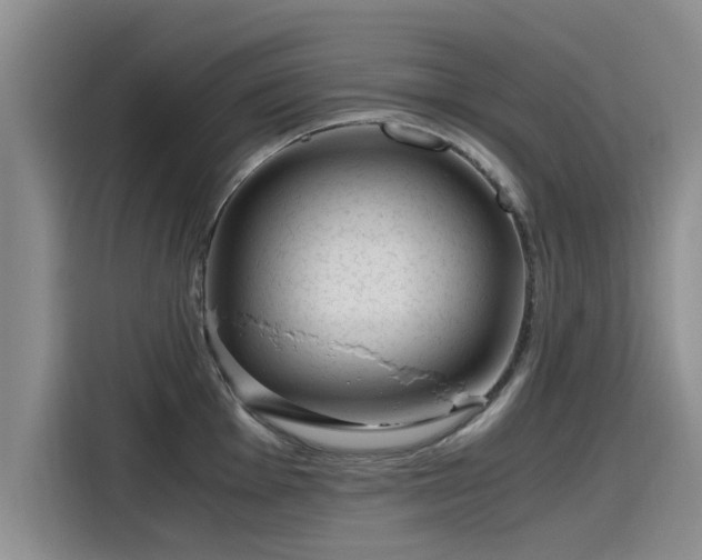 X0000115641001200911171418