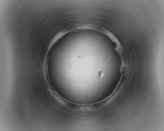 X0000115641002200911171418