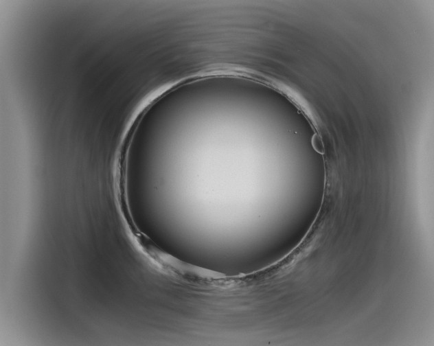 X0000115641003200911171418