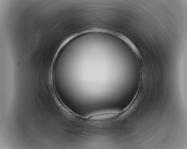 X0000115641004200911171418