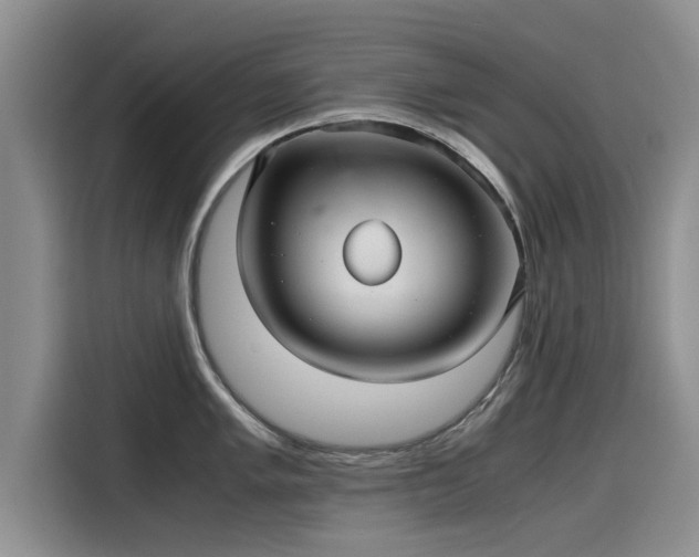 X0000115641005200911171418