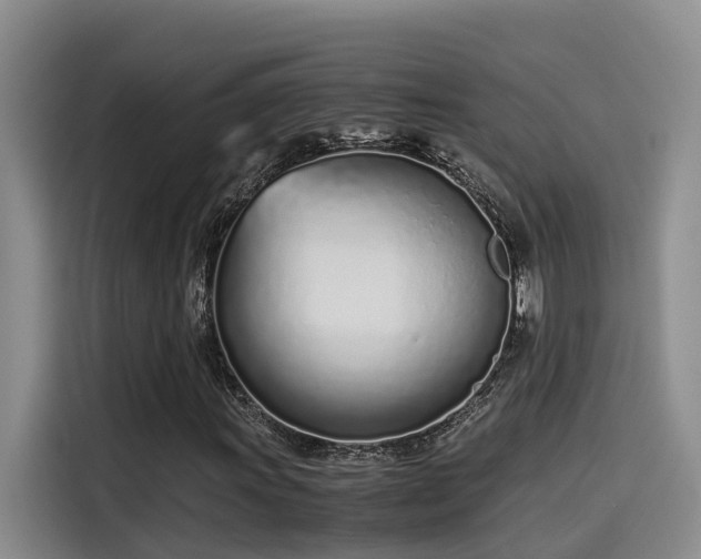 X0000115641011200911171418