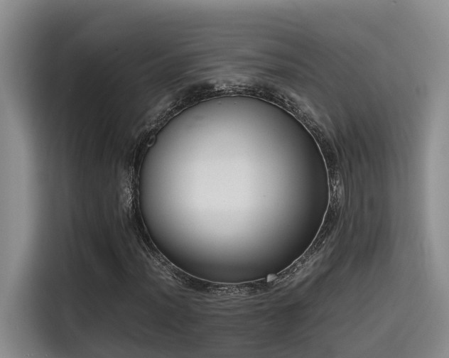 X0000115641012200911171418