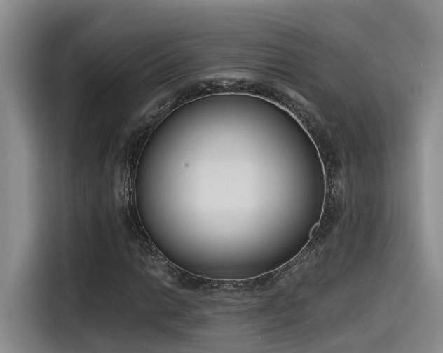 X0000115641014200911171418