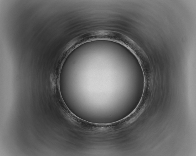 X0000115641017200911171418