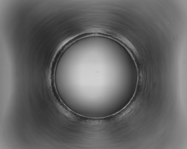 X0000115641020200911171418