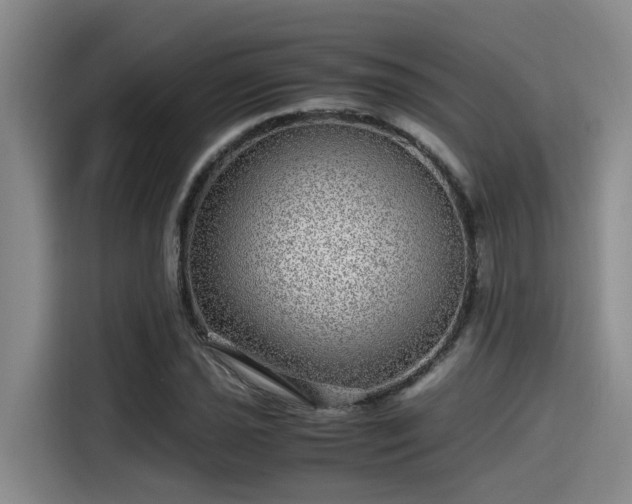 X0000115641021200911171418