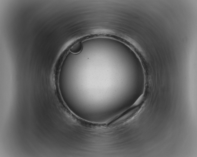 X0000115641022200911171418