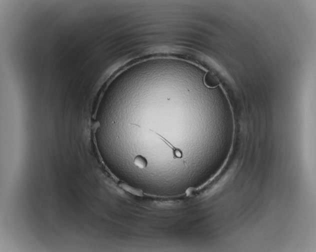 X0000115641025200911171418