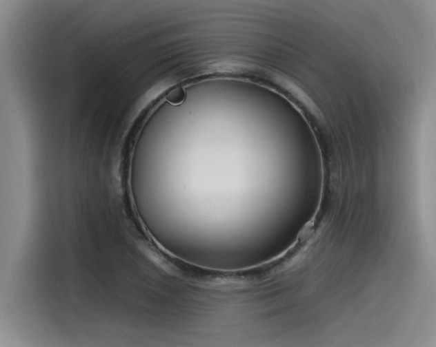 X0000115641026200911171418