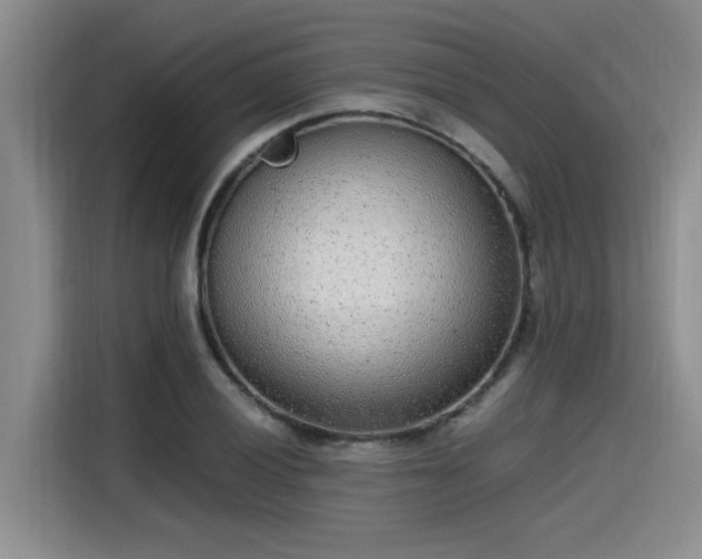X0000115641028200911171418