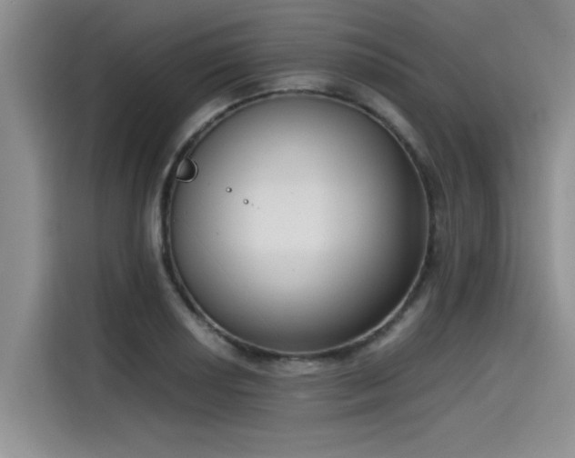 X0000115641034200911171418