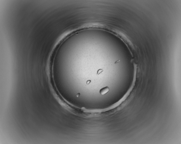 X0000115641038200911171418