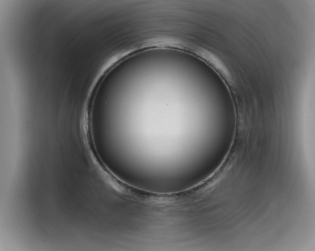 X0000115641040200911171418
