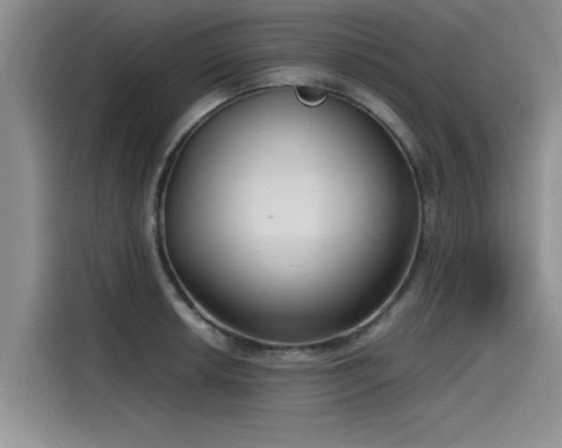 X0000115641042200911171418