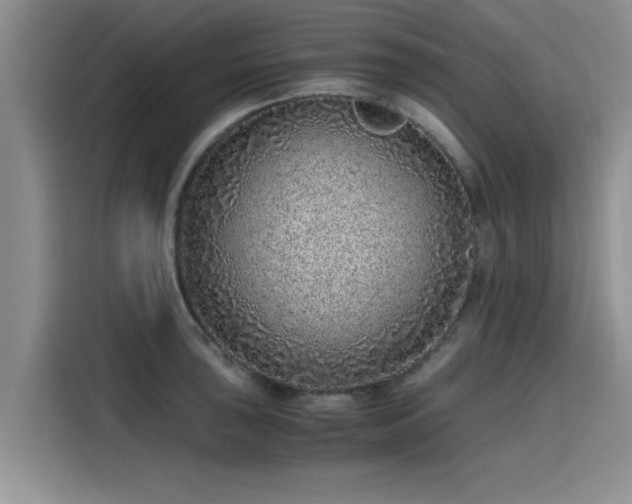 X0000115641043200911171418