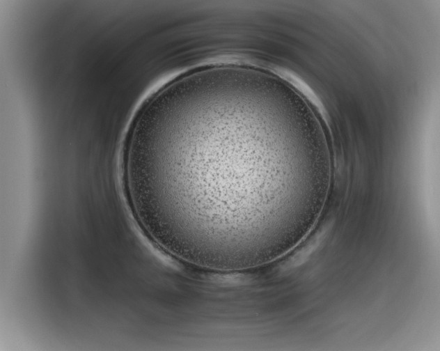 X0000115641045200911171418