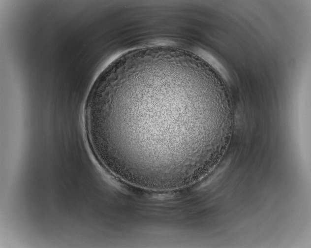 X0000115641047200911171418