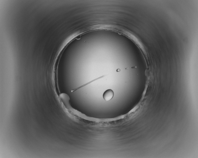 X0000115641050200911171418