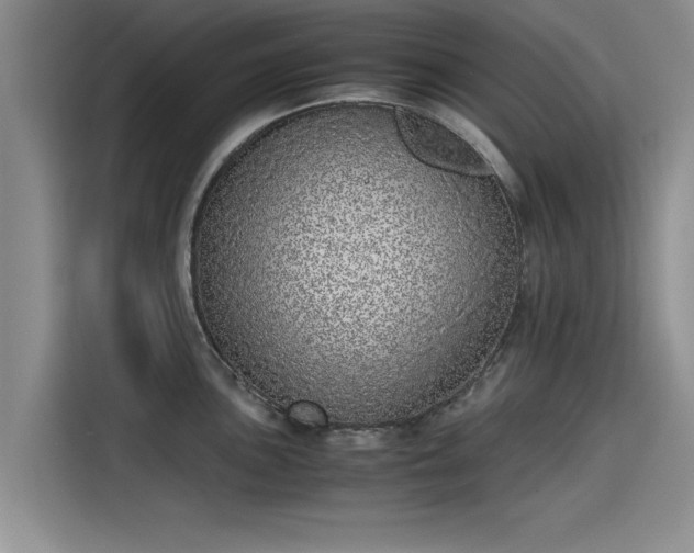 X0000115641051200911171418