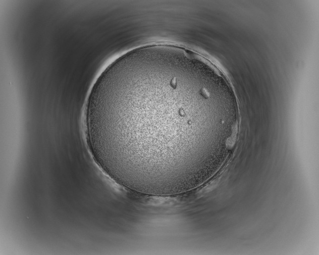 X0000115641056200911171418