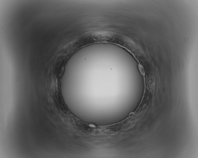 X0000115641061200911171418