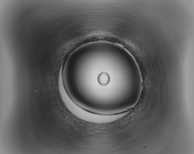 X0000115641062200911171418