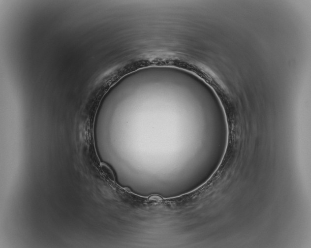 X0000115641063200911171418