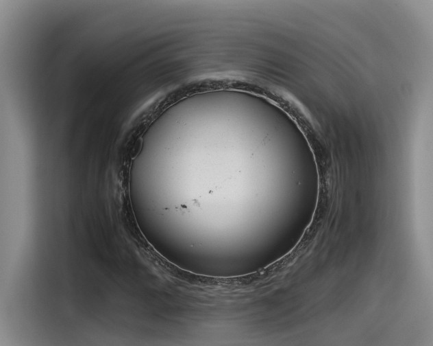 X0000115641064200911171418