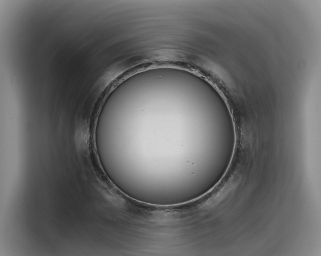X0000115641065200911171418