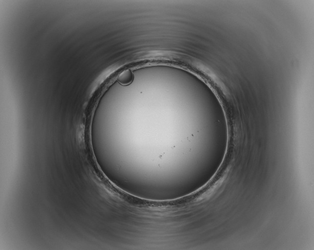 X0000115641066200911171418