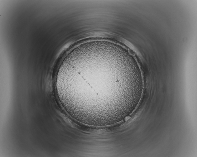 X0000115641067200911171417
