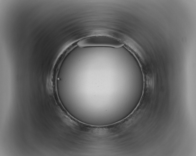 X0000115641068200911171417