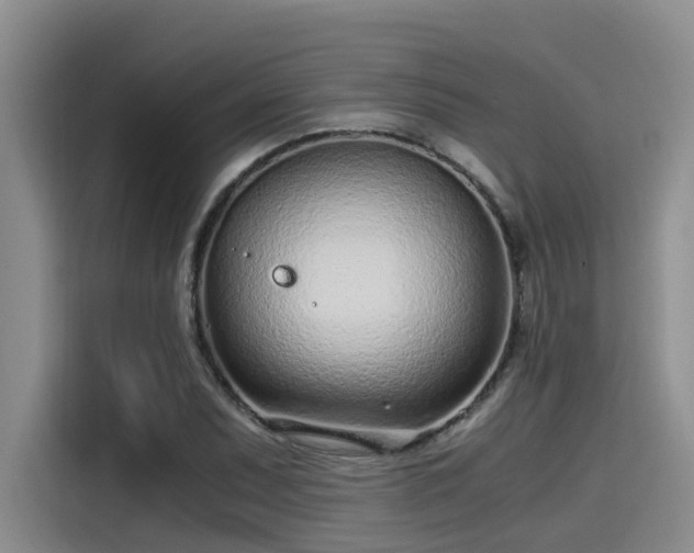X0000115641071200911171417