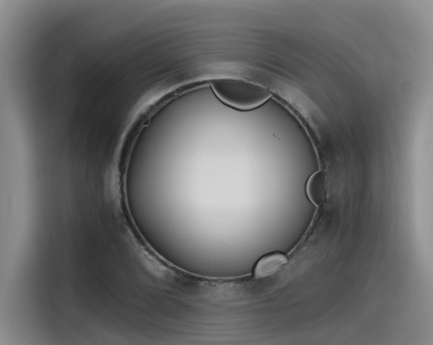 X0000115641072200911171417