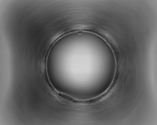 X0000115641073200911171417