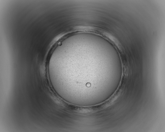 X0000115641074200911171417