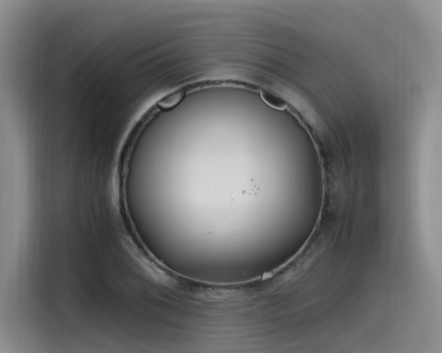 X0000115641076200911171417