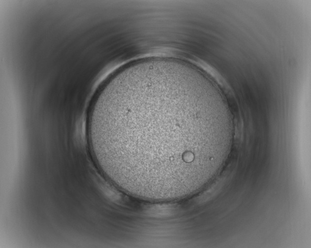 X0000115641078200911171417