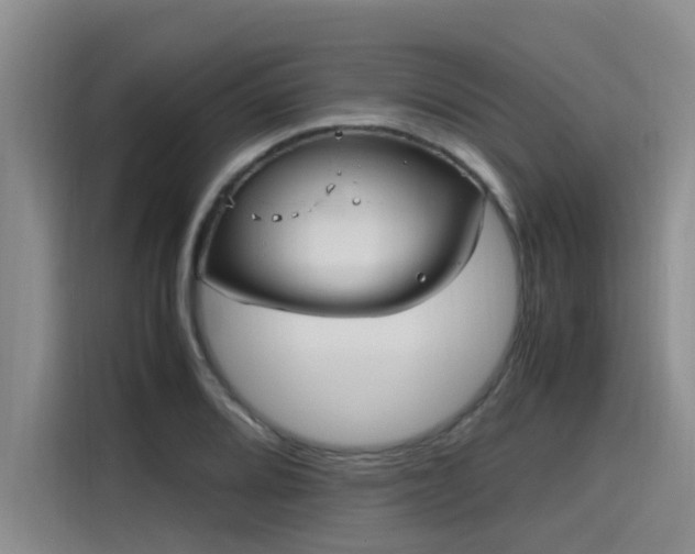 X0000115641080200911171417