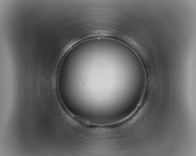 X0000115641081200911171417
