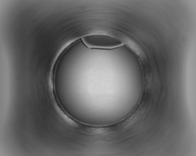 X0000115641084200911171417