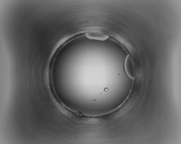 X0000115641085200911171417