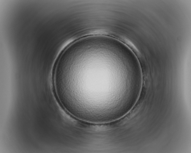 X0000115641087200911171417