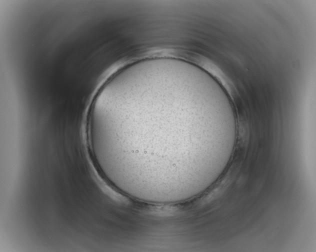 X0000115641090200911171417