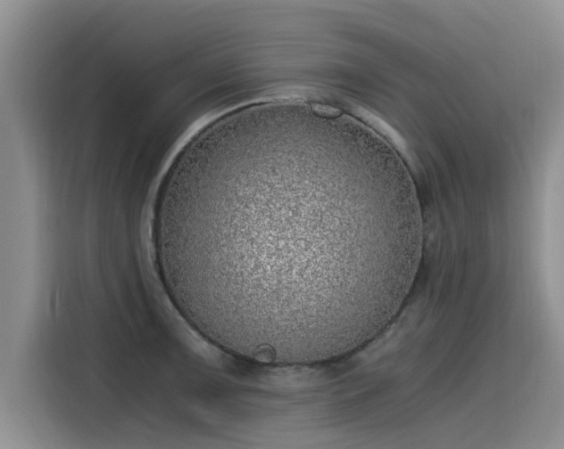X0000115641091200911171417