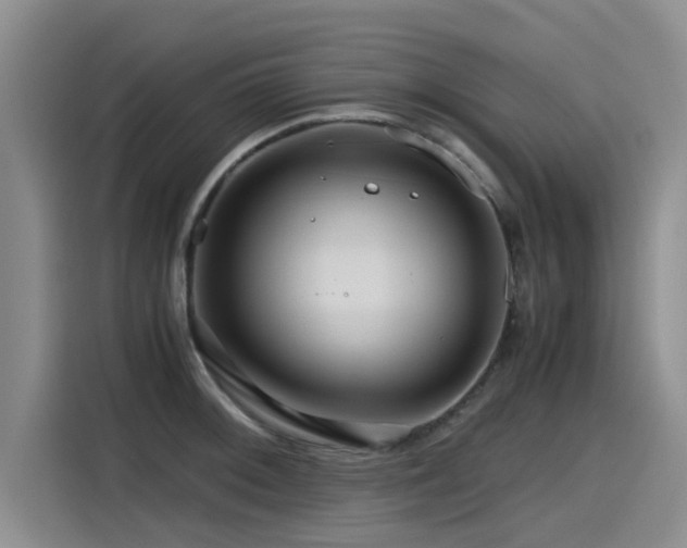 X0000115641092200911171417